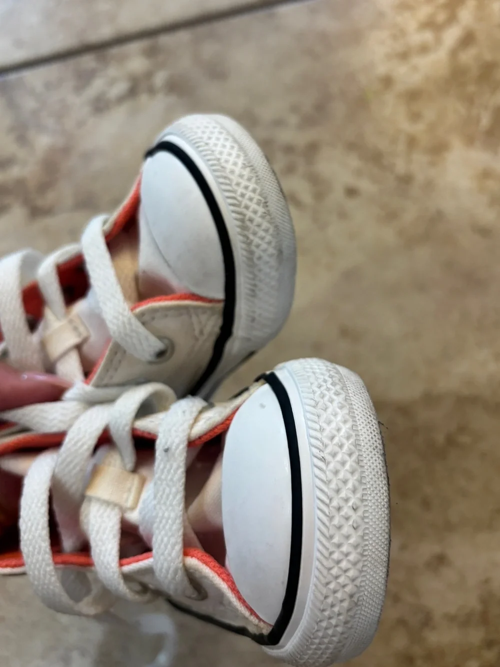 Converse Chuck Taylor All Star Hi Succulents Sneaker Vintage White